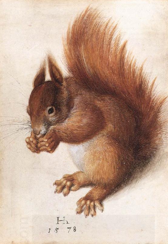 HOFFMANN, Hans Squirrel wf oil painting picture